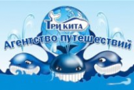 Логотип компании Агентство Путешествий ТРИ КИТА