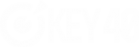 Логотип компании OKEY40