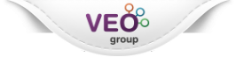 Логотип компании ВЕО Групп