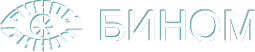 Логотип компании Бином
