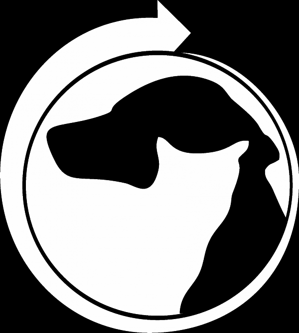 Логотип компании ВЕТОК