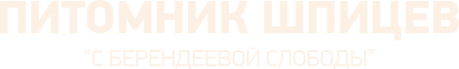 Логотип компании С Берендеевой Слободы
