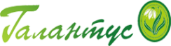 Логотип компании Галантус