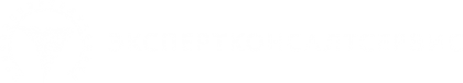 Логотип компании ЭкспертКонсалтСервис
