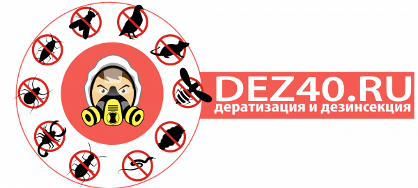 Логотип компании DEZ40